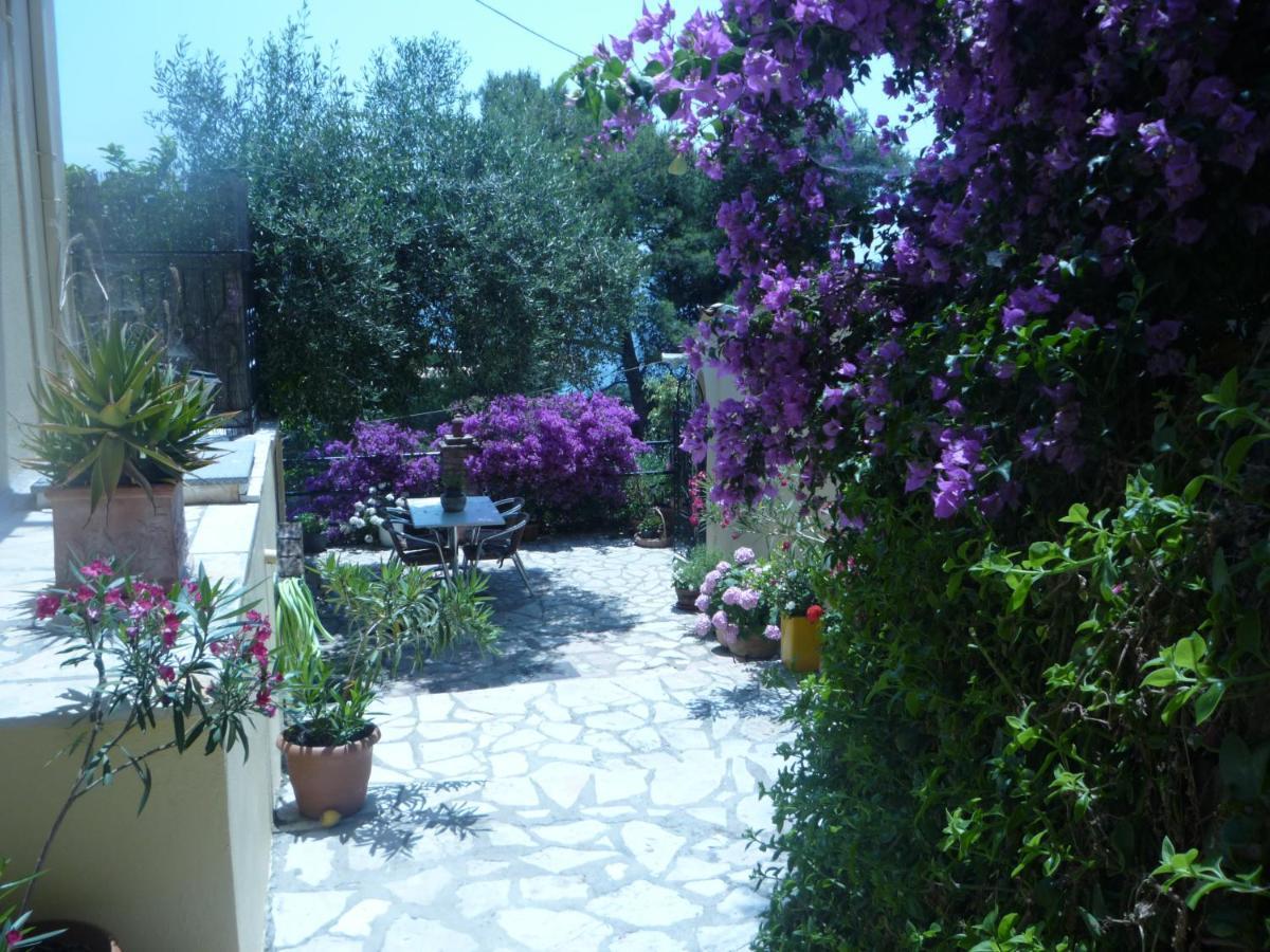 Butterfly Barbati Apartments Екстериор снимка
